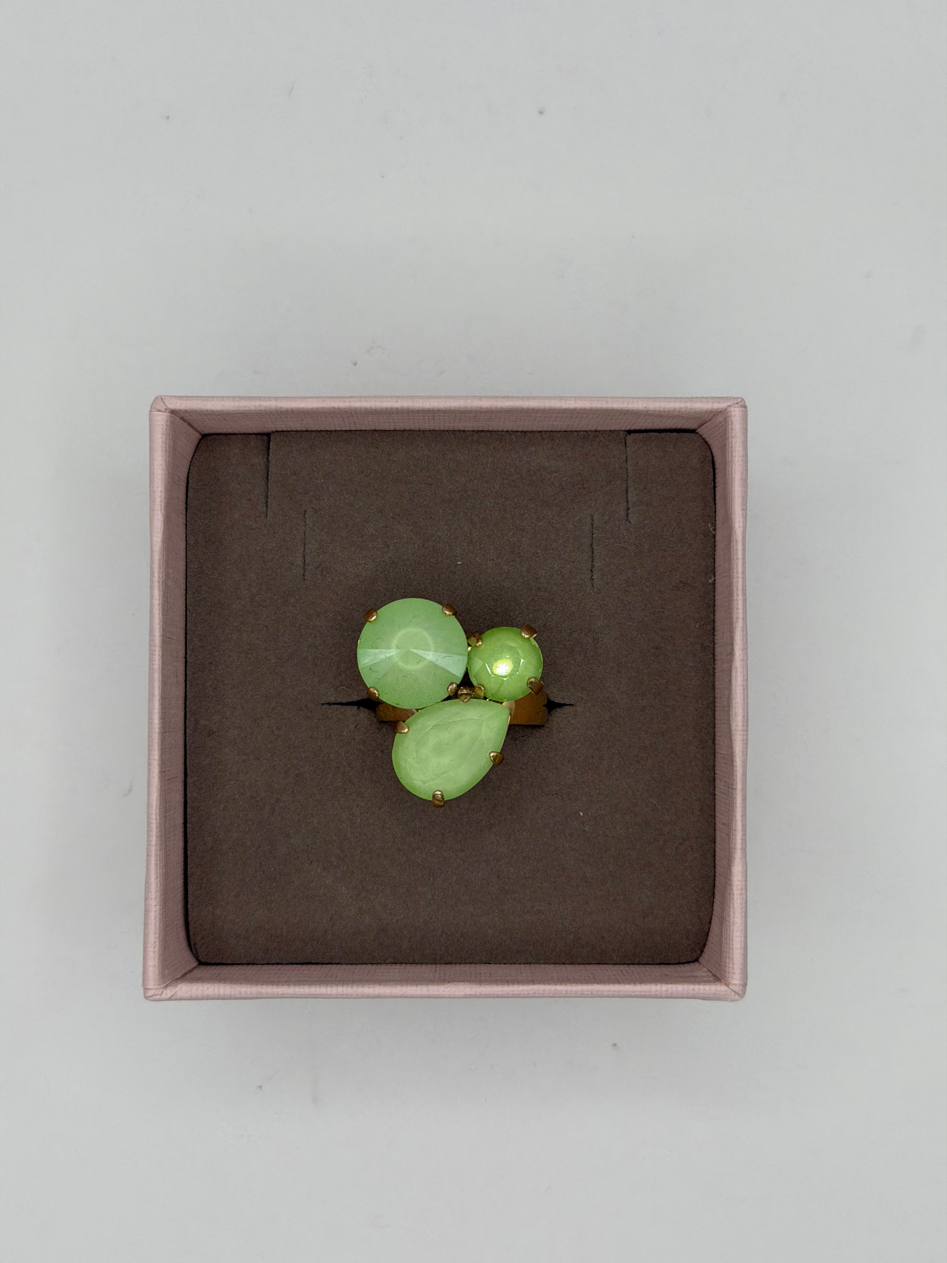 Anello Orsa Maggiore