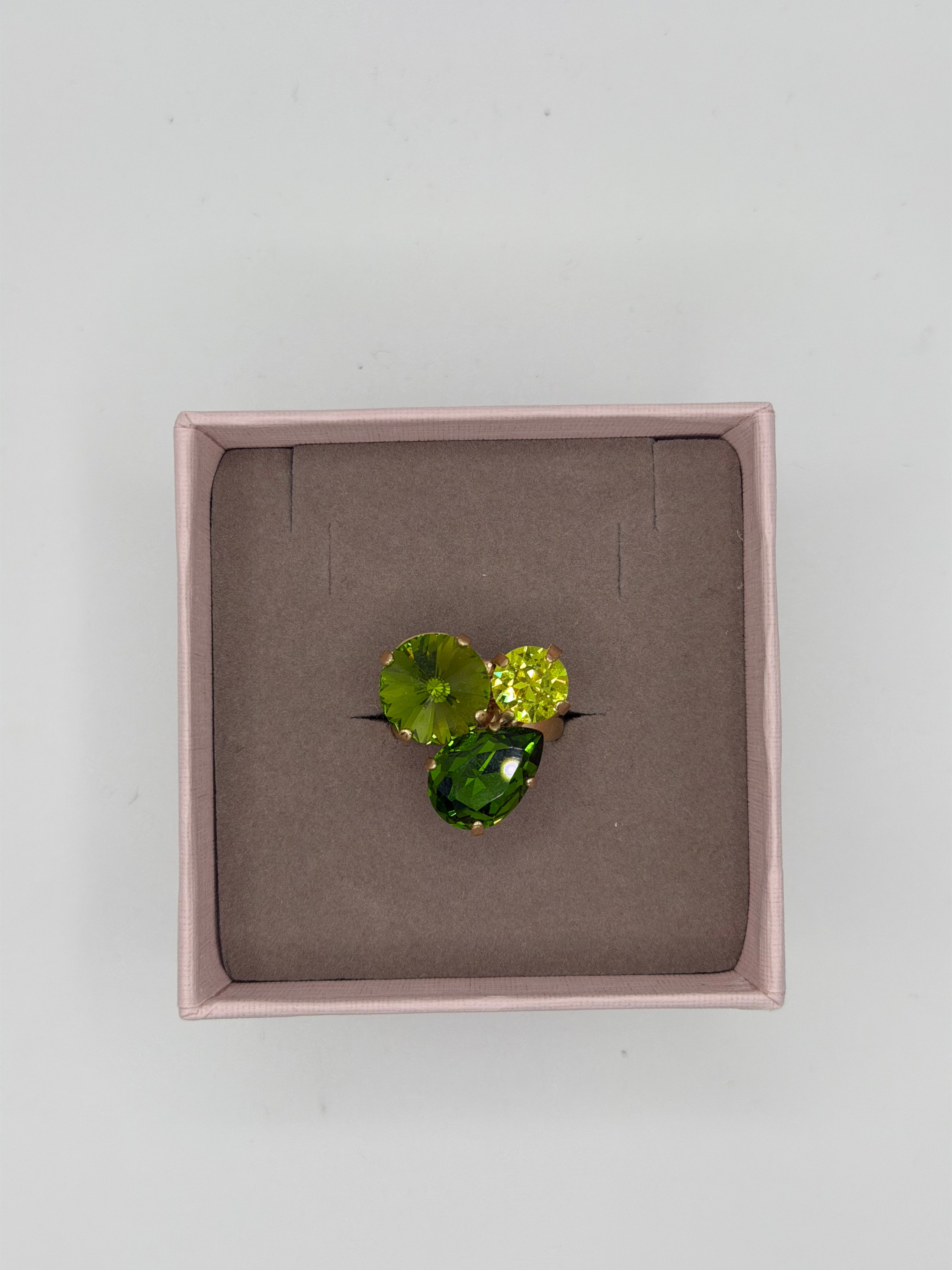Anello Orsa Maggiore