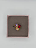Anello Galassia